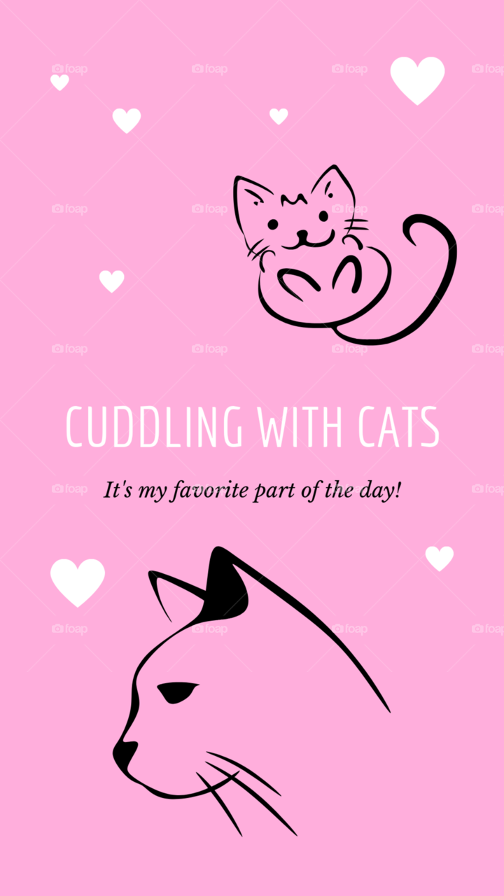 Cuddling with cats