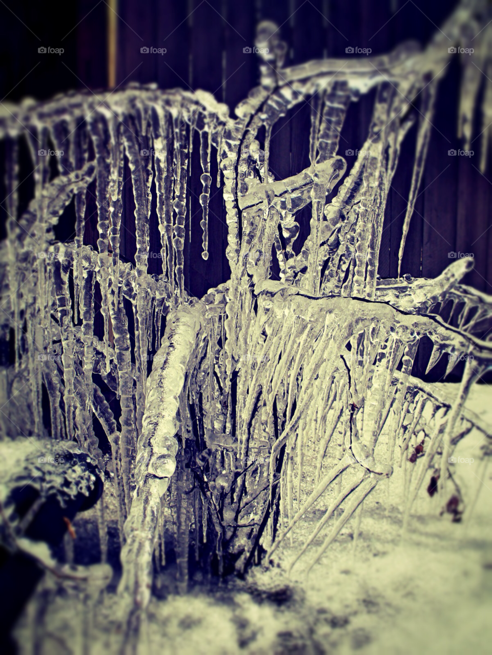 winter water ice cold by squishypie