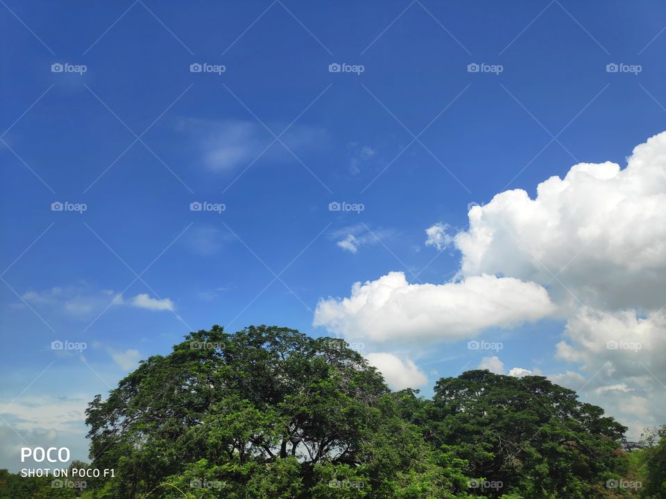 A beautiful fair weather