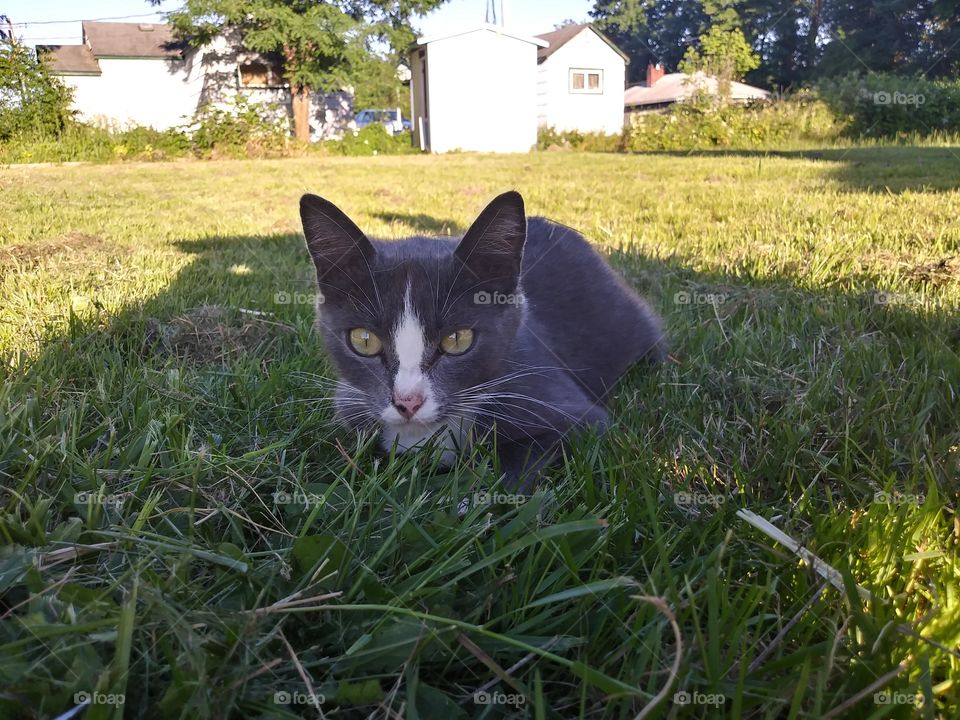 always sits in the grass with me.