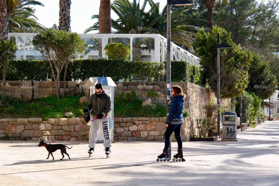 Dog on promenade 