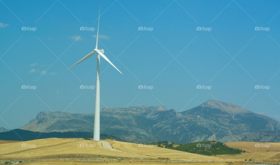A lone wine turbine under the scorching Andalusia summer sun. 