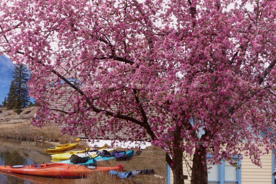 Spring kayak