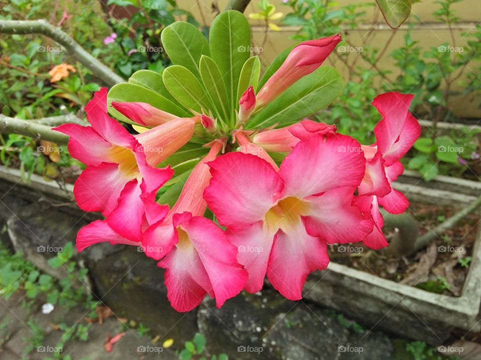 Best of 2021 : Nature