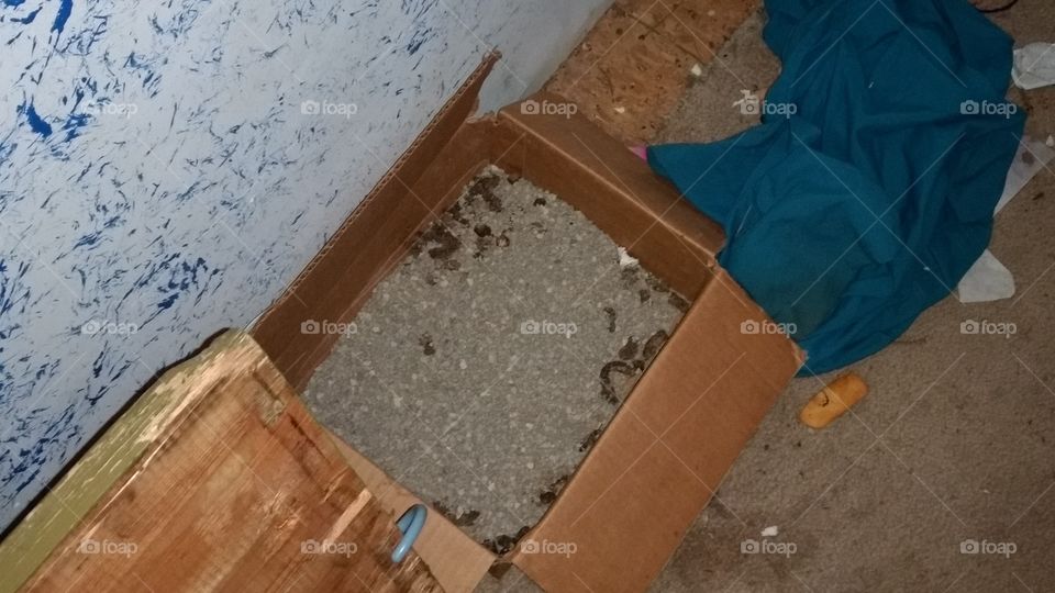 dirty rental after renters move out