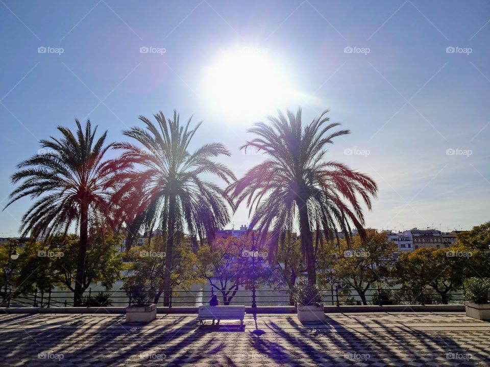 Sevilla, Spain 