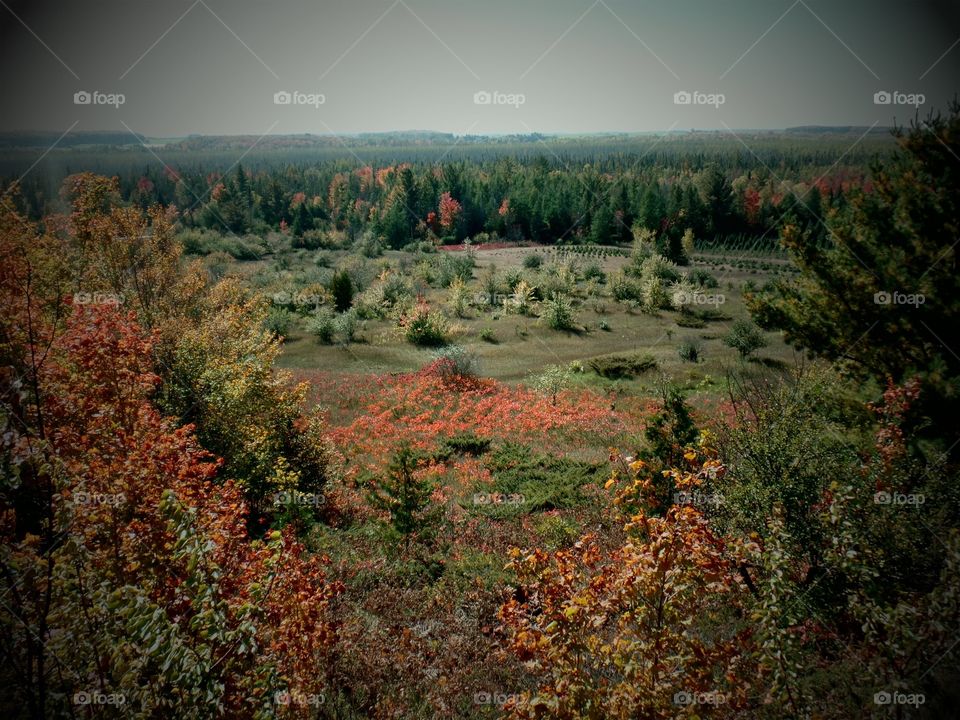 Drummond Island, Michigan 