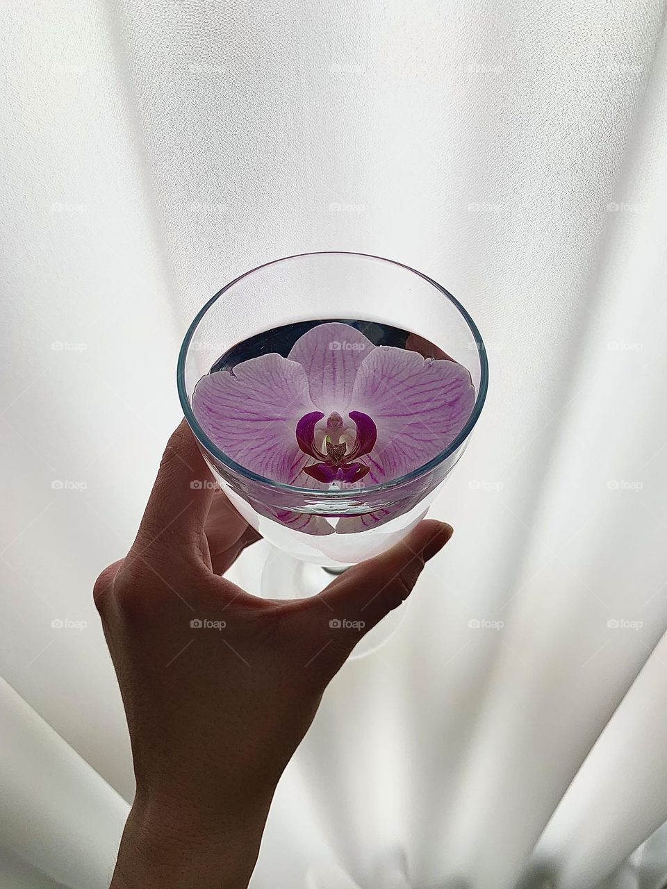 Cheers to spring! 🥂🌸