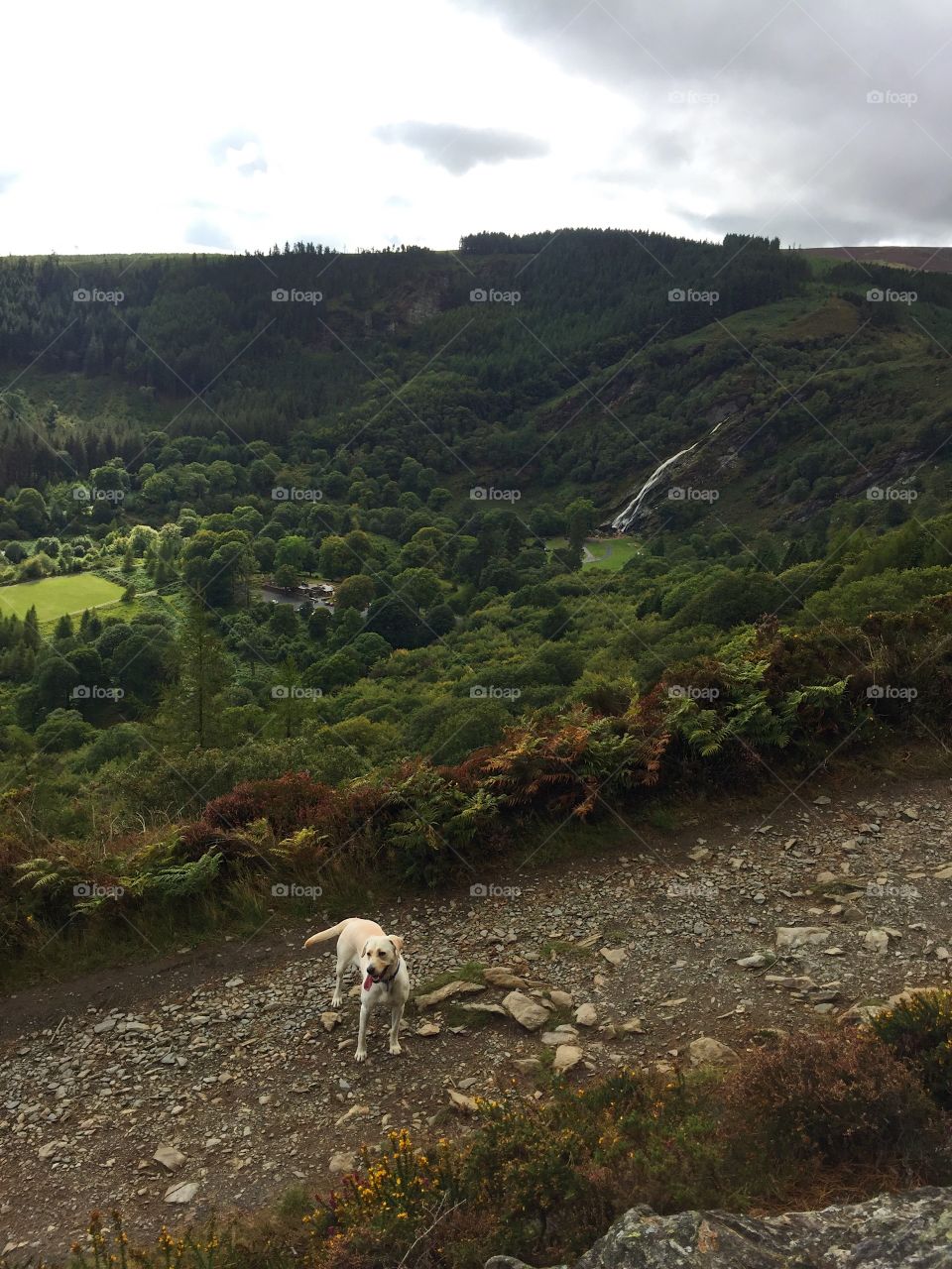 Landscape, No Person, Travel, Water, Outdoors