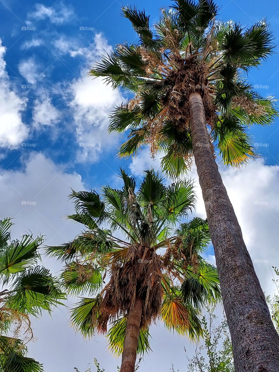 tropical vacation time