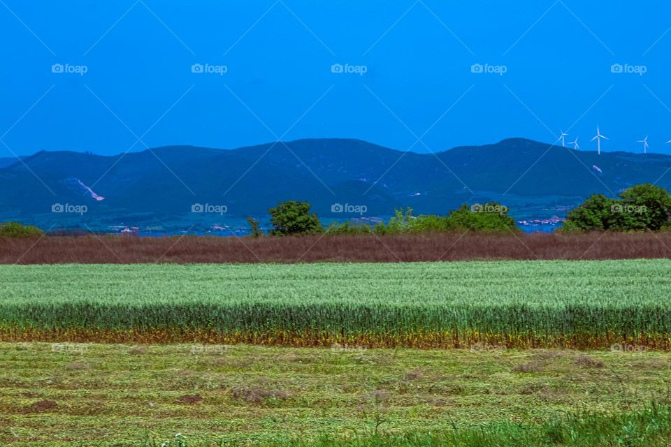 Corner fieldes at the countryside