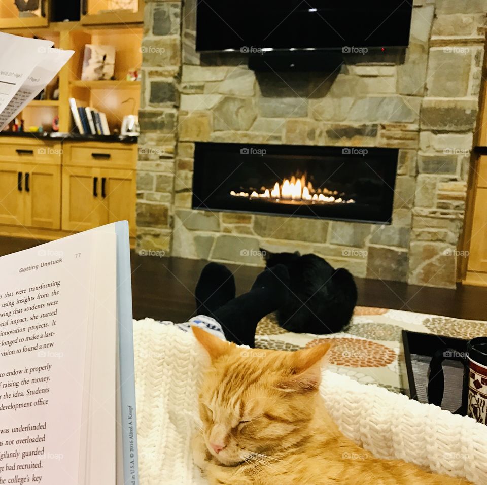 Super cozy spot in home perfect for cuddling with kitties in front of fireplace while reading a good book! 