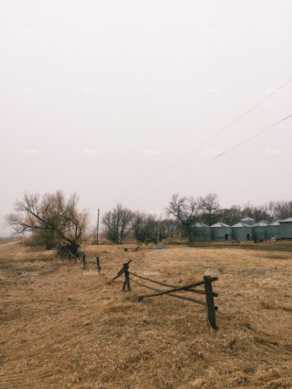 Landscape, Agriculture, Farm, Tree, Fence
