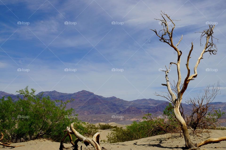 Death Valley