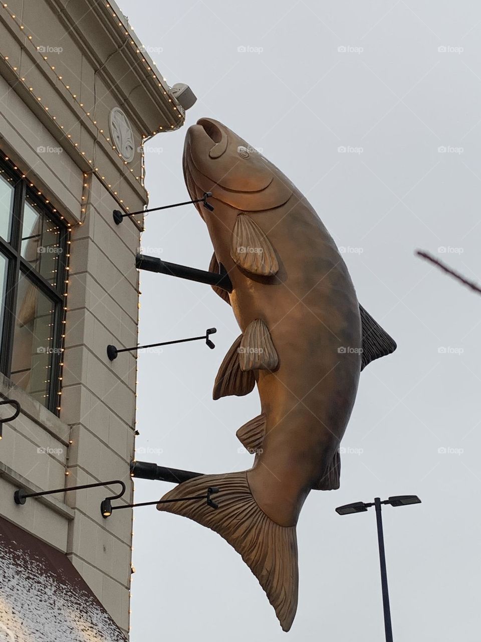 A big metal fish that hangs out, outside of a local McCormick and Schmick’s steak and seafood restaurant. 