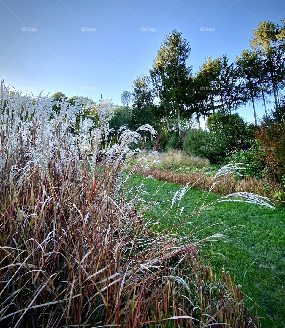 Park , November 2022 . 