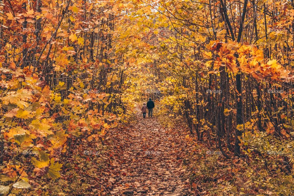 Autumn walk