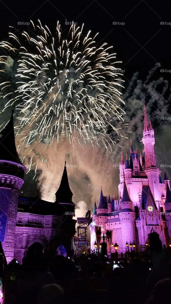 Magic Kingdom fireworks