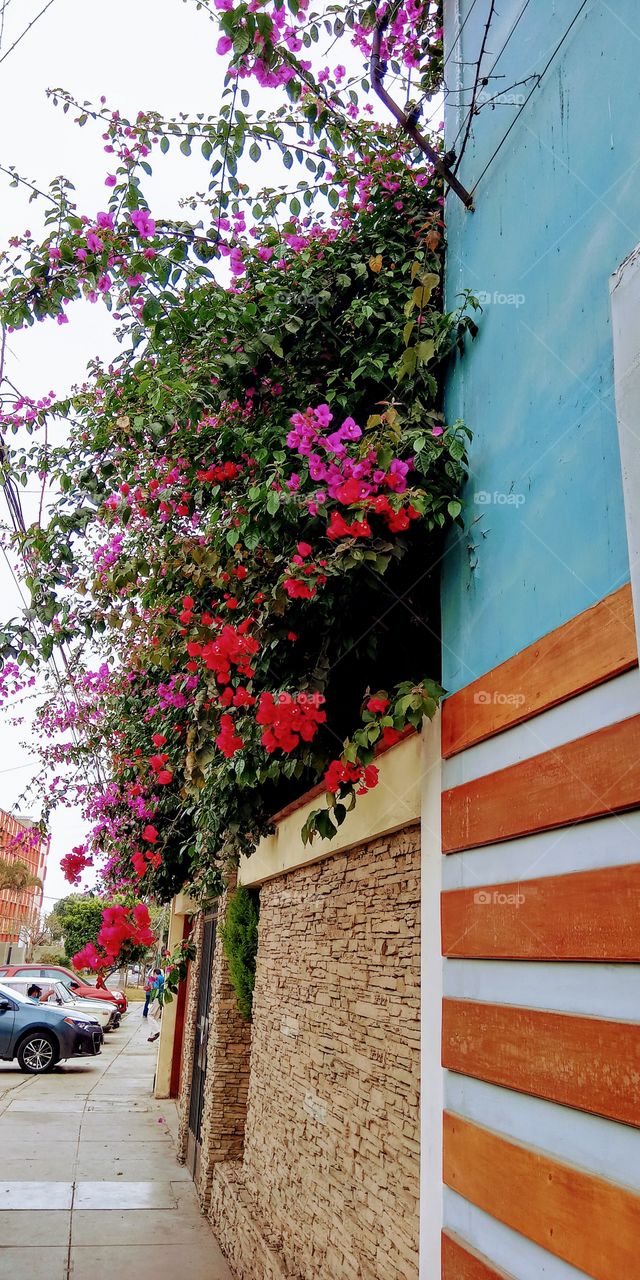 Singular and beautiful