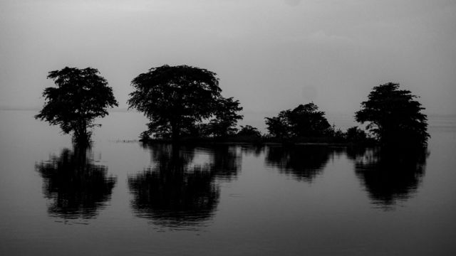 Reflection