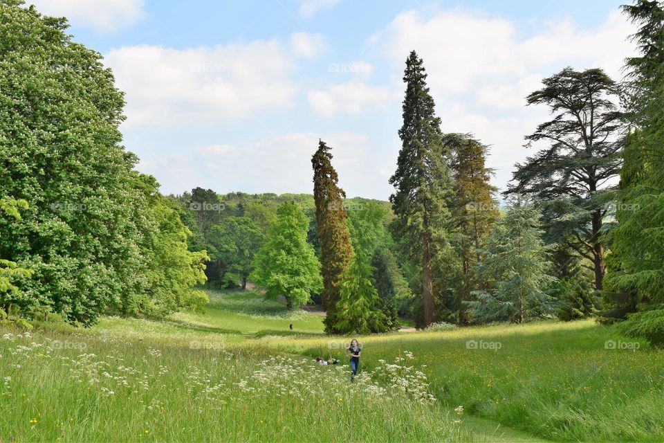 Children rolling down the hill
