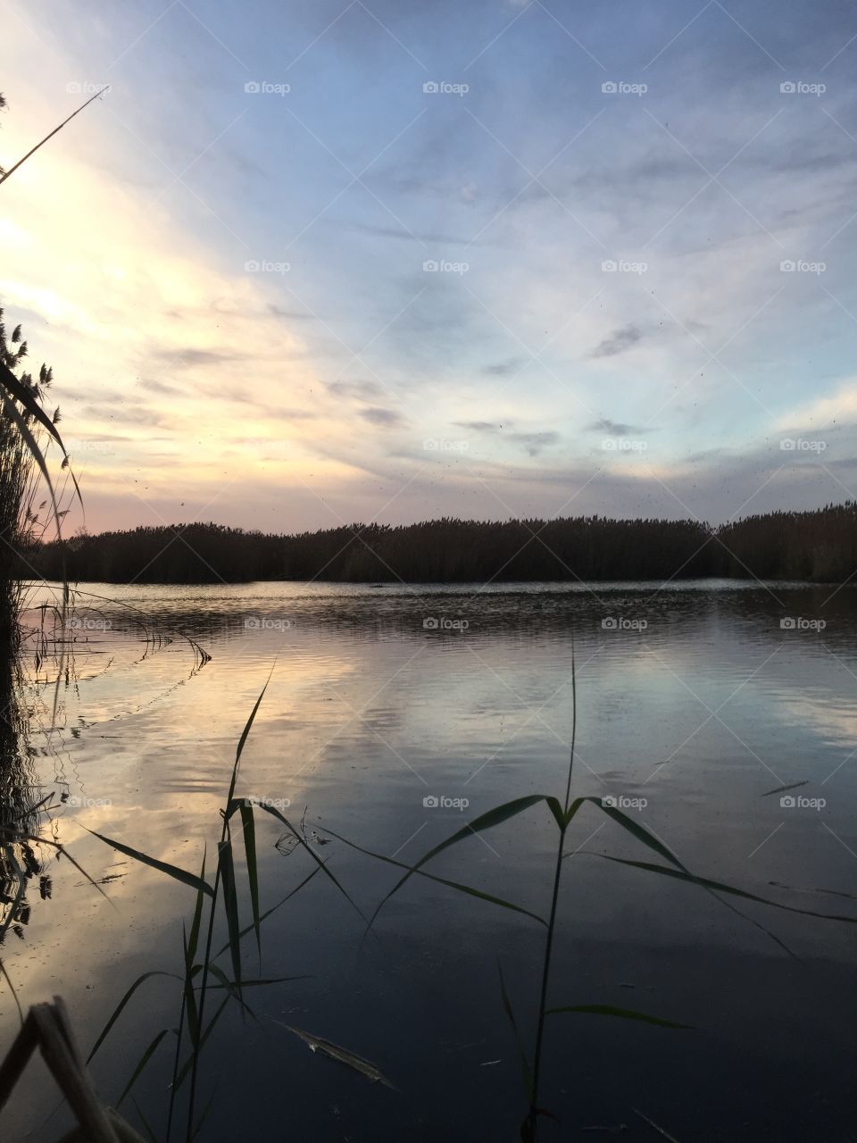 Reflection, Sunset, Lake, Water, Dawn