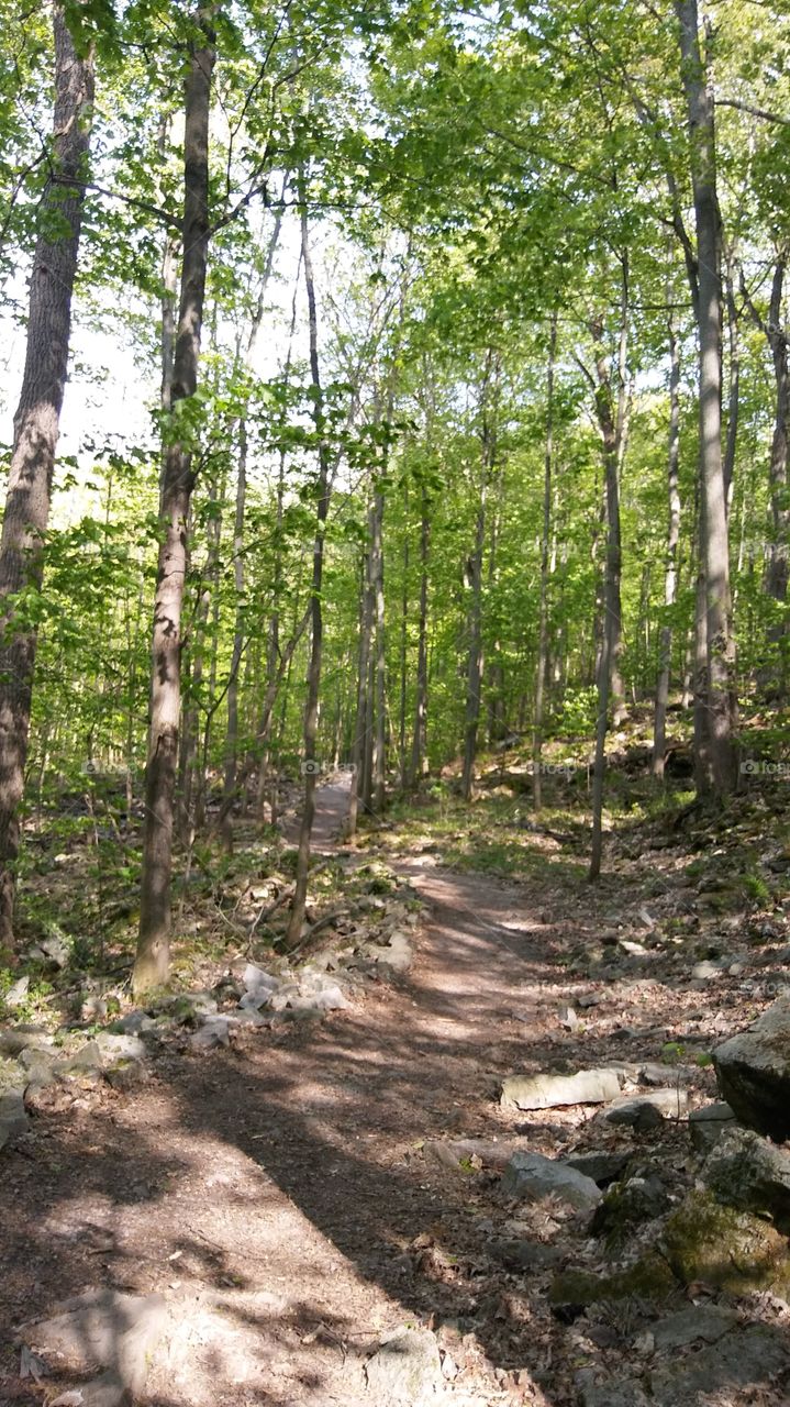 hiking in may