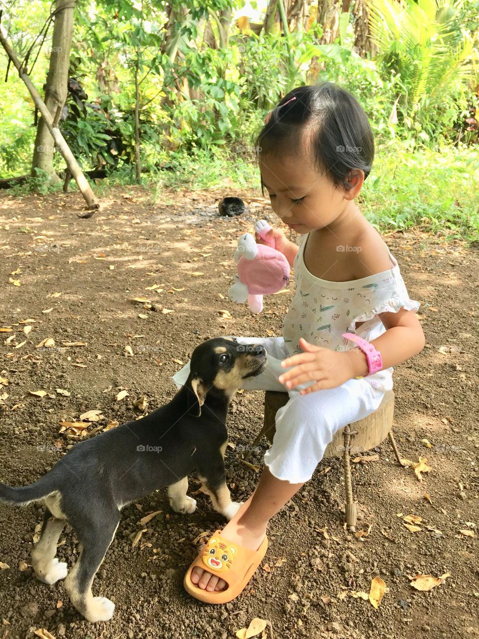  toddler girl playing with her puppy