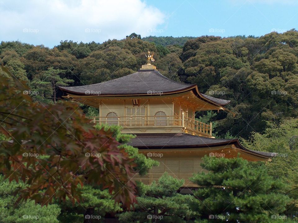 Kinkakuji ( Temple in Kyoto )