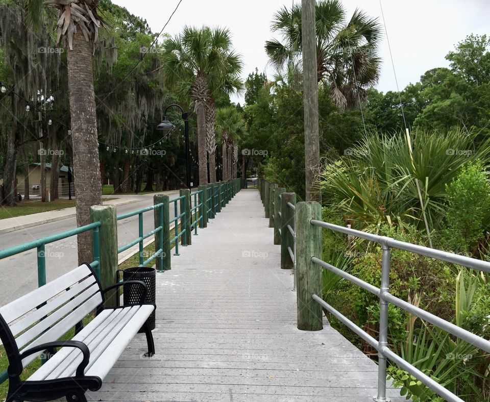 Boardwalk by Nature. Boardwalk with bench and rail fence by plants. 