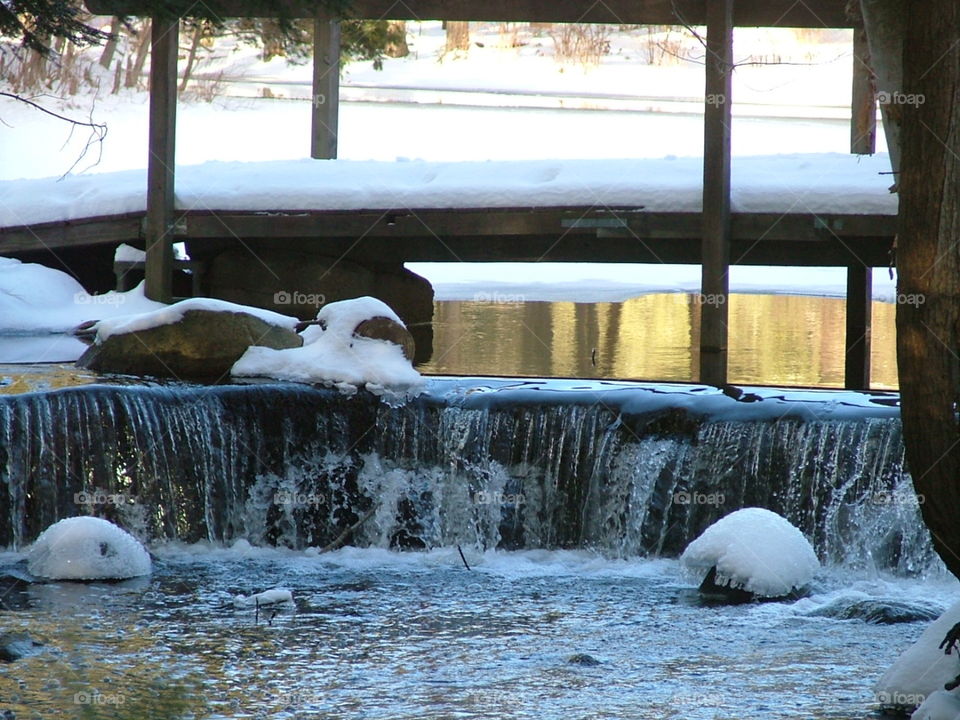Winter Pond