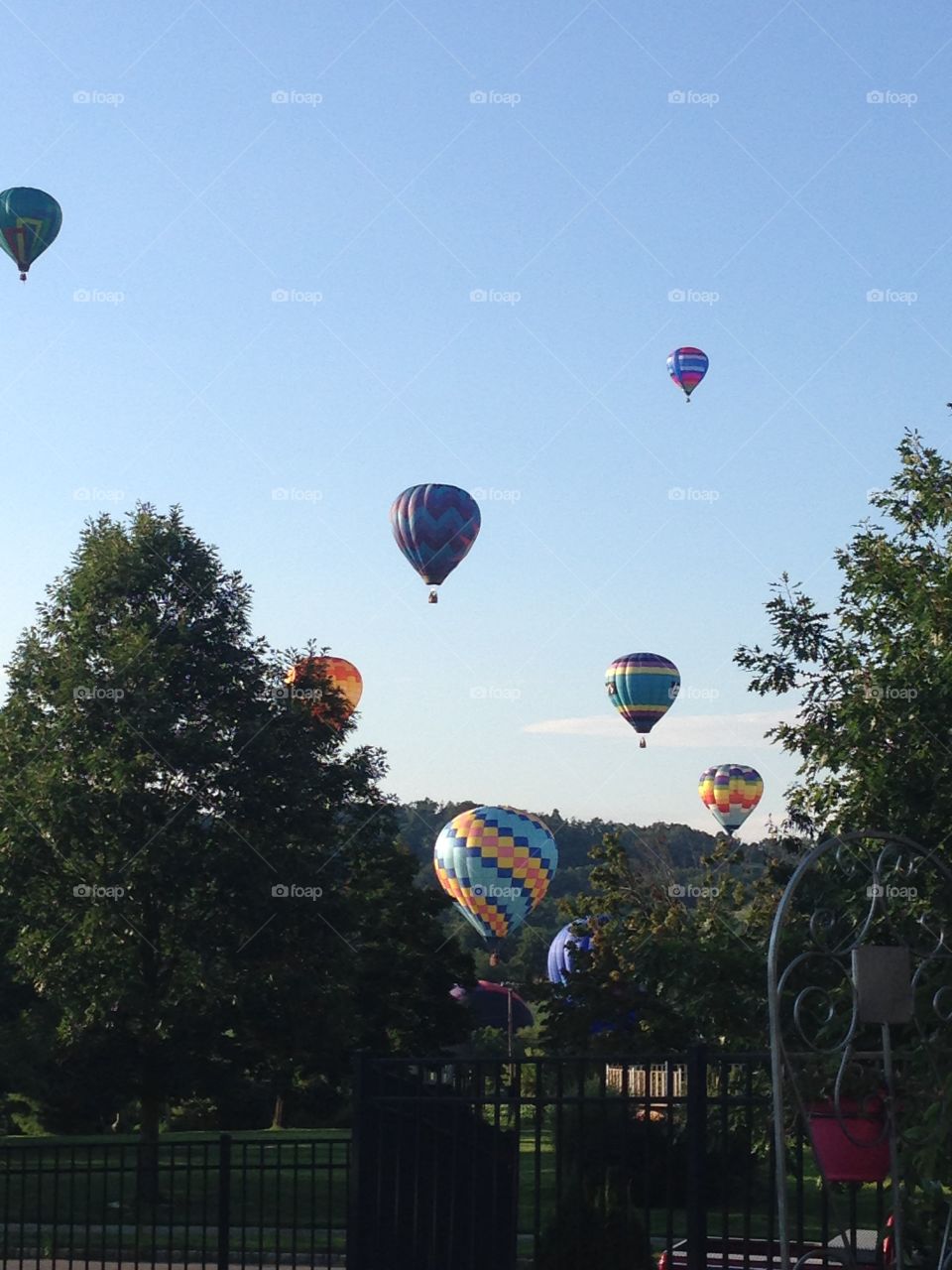 2015 NJ Balloon Festival . Warren County Farmers Fair 7/25/15