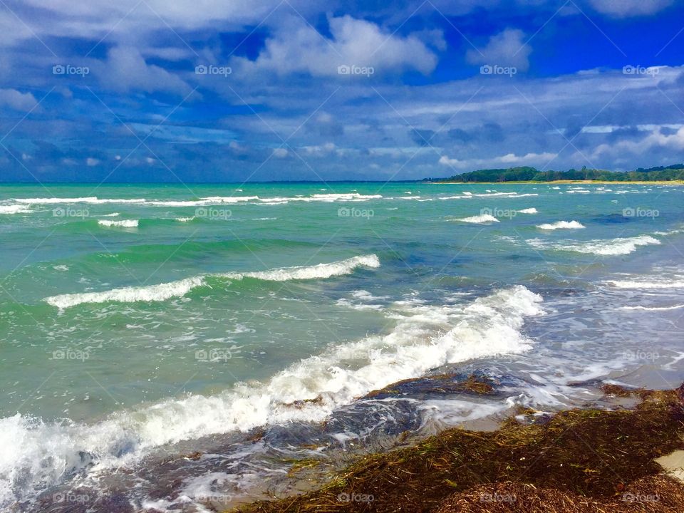 Wild water at the ocean 