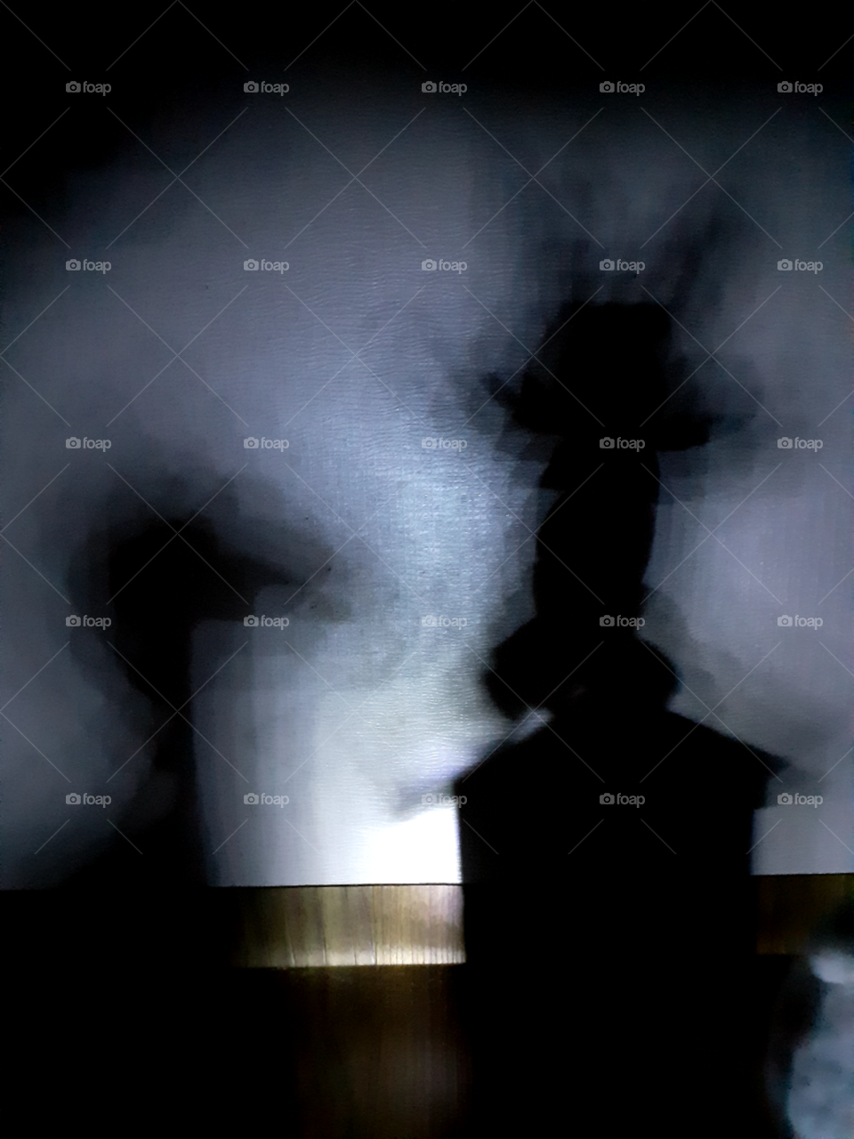 the shadow of the little house , on its roof top you can see the little white rabbit is standing happily and beside it the giraffe stands smilling while watching the joyfull white naughty rabbit. its really a wonderful day