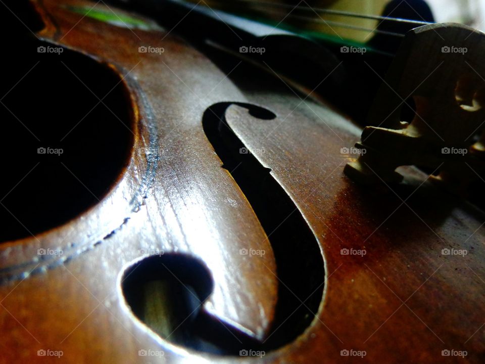 The Violin.