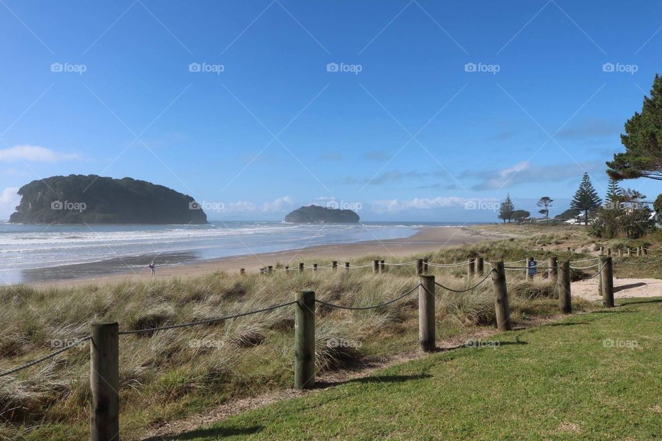 New Zealand beach on morning - 2018 
