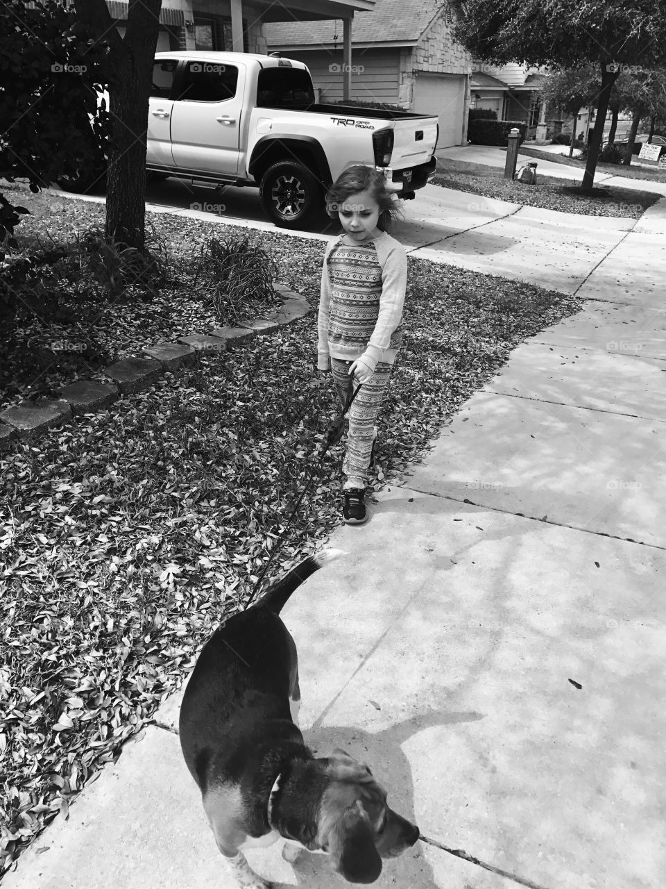 Neighborhood walks with the pup