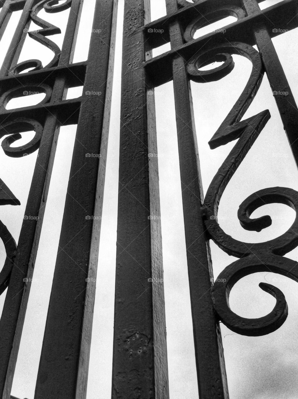 Close up of a wrought iron gate in black and white.