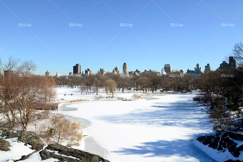 Central Park in snow. Snow blanketing NYC's Central Park