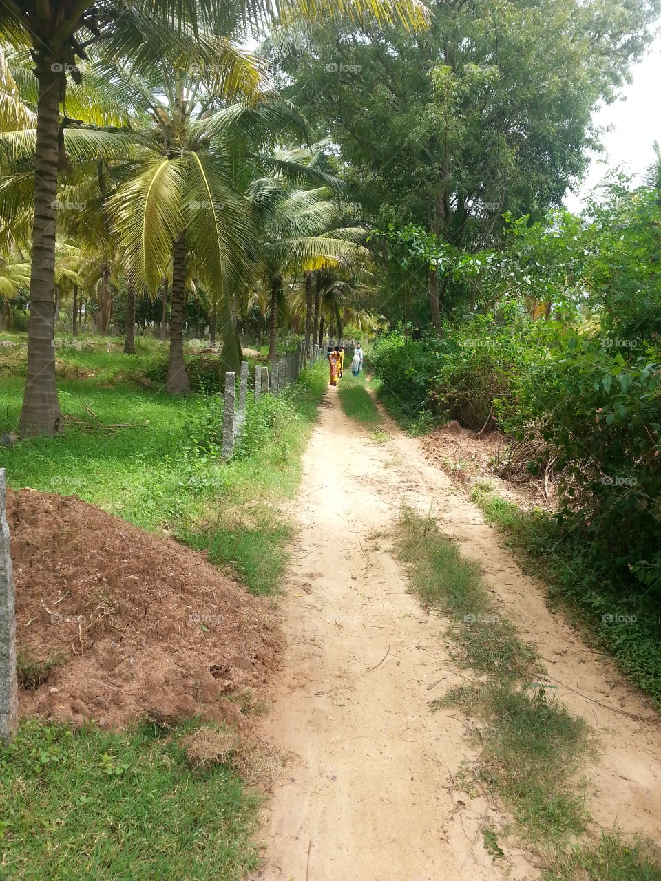 right path. village path