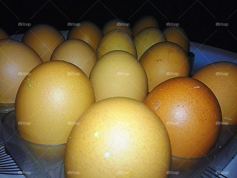 Chicken Eggs Angle shot