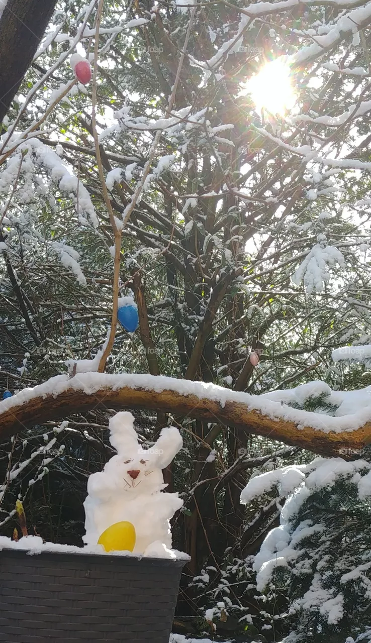 schnee weiß hase rabbit Ostern easter. egg Eier bunt