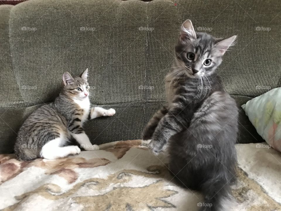 two brothers who are so different from each other