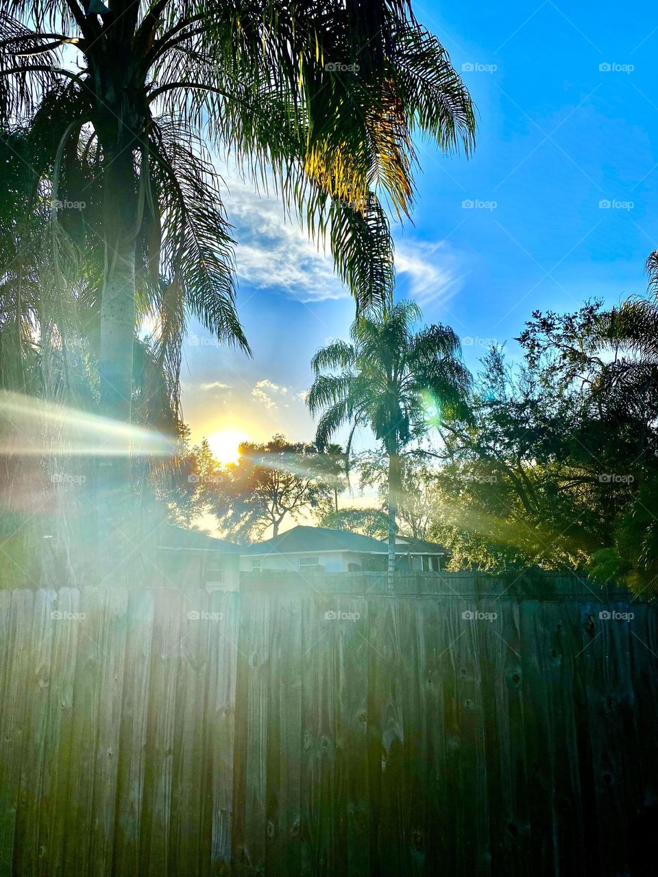 Sun over fence