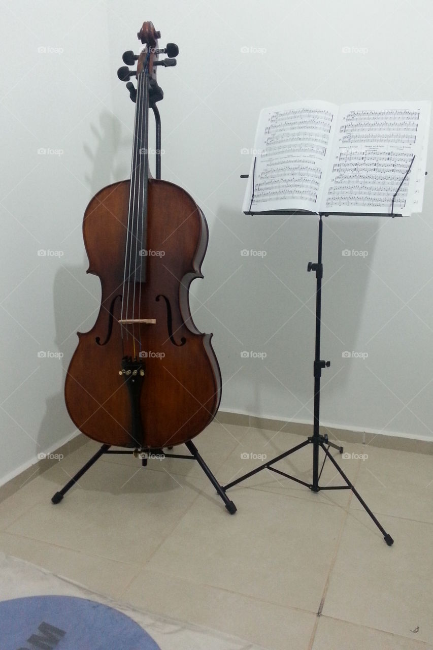 Violin, Music, Instrument, Musician, Classic