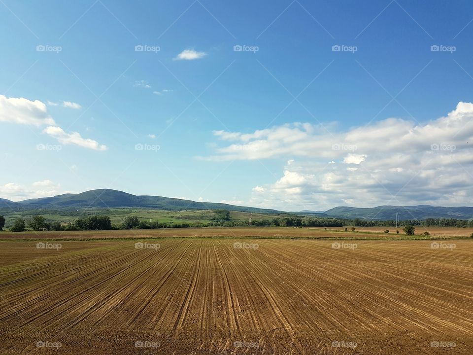 View of agricultural field