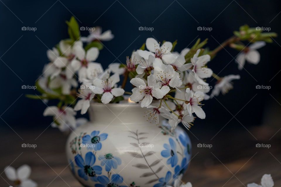 Wild plum flowers in a vintage vase.