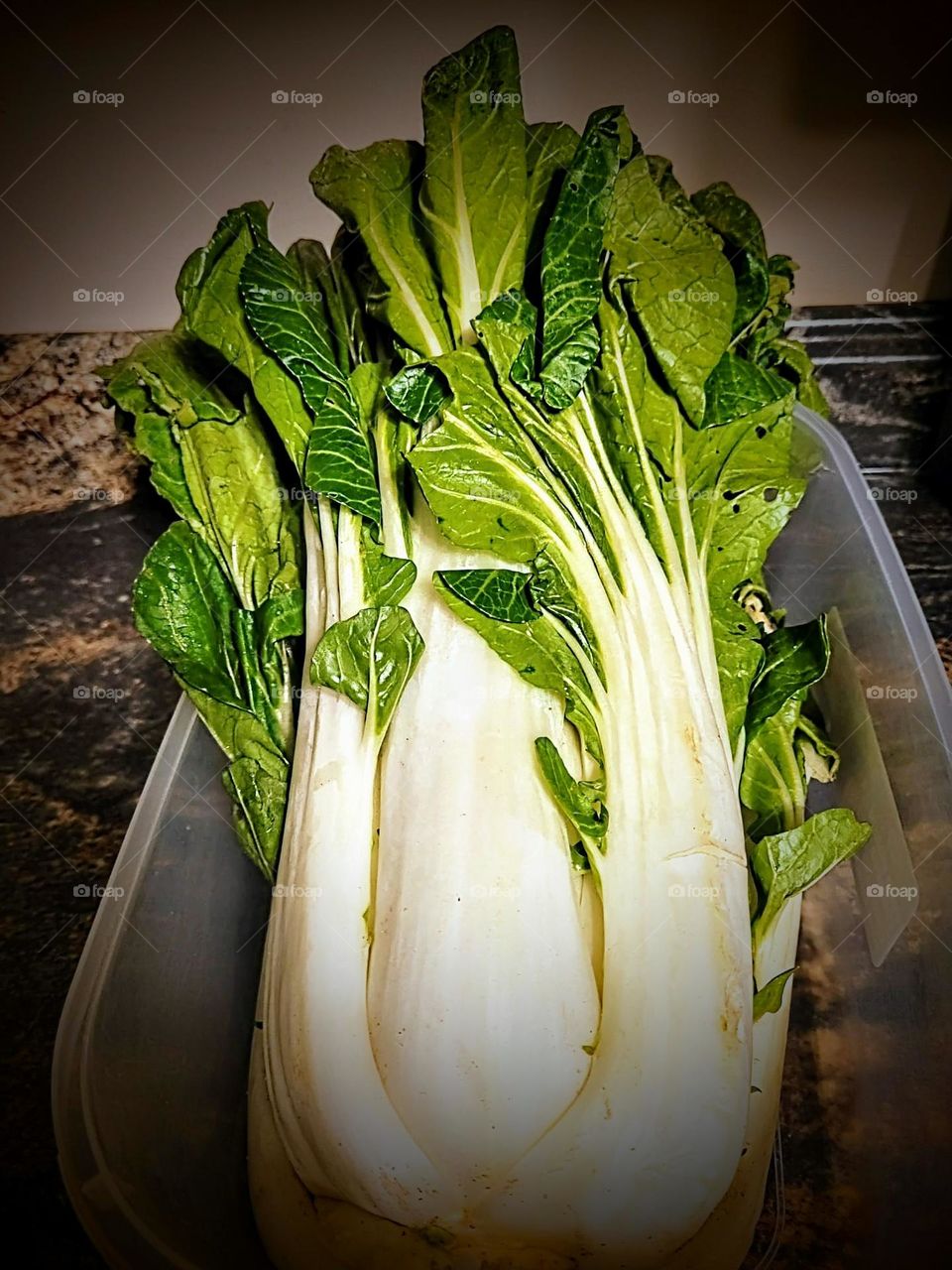 Pak choi