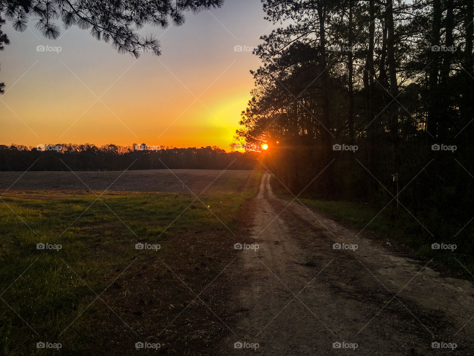 Old country road head to s beautiful golden sunrise in North Carolina. 