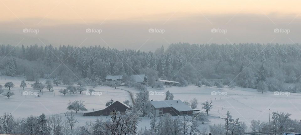 Winter in der Schweiz